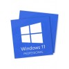 Microsoft Windows 11 Professional - 2 Keys