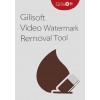 Gilisoft Video Watermark Master