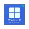 Windows 11 Professional CD-KEY (5 PC)