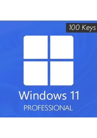 Windows 11 Professional - 100 Keys