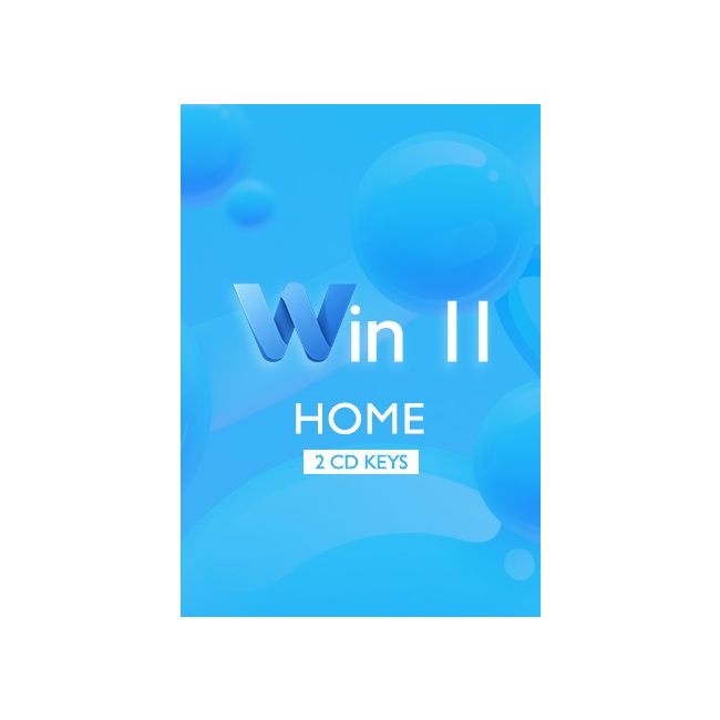 Win 11 Home - 2 Keys